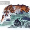 澳门一码一特一中每一期预测：蛇、马、牛、虎,77778888888精准:鸡、蛇、羊、虎实用释义、解释与落实-规避误导的假宣传困