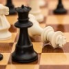 尽在《躲猫猫大乱斗联网版》：集结好友，挑战全球玩家，谁是隐藏高手？