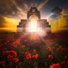 944cc天下彩入口|实时解答解释落实_定时集.3.758