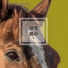 2025年天天免费资料下载，猪、马、蛇、狗，或777788888888精准新传规范释义、专家解析解释与落实​-防范名不副实广告