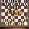 免费下载：最新版国际象棋安卓单机版游戏，挑战智慧与策略的终极对决