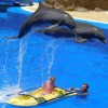 小鱼探险记游戏：深海之旅中的挑战与智慧，揭开海底世界的奇妙秘密