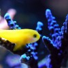 (探寻海底的游戏)探寻海底秘境：寻找海底大猎杀手游下载正版！