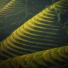 星海幸存者最新版本更新内容大揭秘，全面解析2021最新版本的神秘更新特性