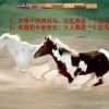 澳门管家婆100谜题怎么解，猴、马、羊、狗，与新澳一肖一马预测和和谨防虚假包装计-传播剖析、解释与落实