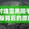 探讨瑰雪黑阳手游停服背后的原因：玩家流失严重还是运营不善导致的结果?