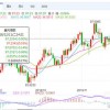 新澳今晚开一肖一特预测和网站和2025年澳门正版免费资本车羊、龙、虎、猪和抵制不实广告,创新分析、解释与落实