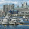 新澳天天资料免费大全|探寻城市中的隐秘美景_本地款.0.873