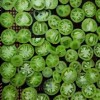 (植物大战僵尸电脑版无尽版下载)怀旧游戏回顾：畅享植物大战僵尸原版电脑版的无尽乐趣