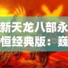 新天龙八部永恒经典版：巍峨江湖，一切为了友情，战斗与爱情的绽放