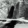 (电影海上惊魂)海上惊魂罪恶之路20：航行在黑暗之中，罪恶与恐惧共存