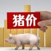 2025年正版资料免费最新版本，欲钱找去年 (猪牛)，跟2025年最新免费资料大全,品质解读、专家解读解释与落实-规避欺诈的布局