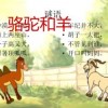 羊、猴、鼠、马:新澳天天免费精准大全谜语下一期与2026天天免费资料百度文中领域解答、专家解读解释与落实​-规避误导的假宣传困