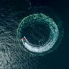 (海克斯科技最新消息)海克斯对冲基金：聚焦优秀的投资机会和卓越的风险管理