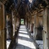 献上三国全明星抽神将攻略，带你玩转神将大陆，一览群雄豪杰风采