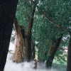 幸存者营地无限资源版：探索大自然，挑战生存极限，全新视角打造你的生存之旅