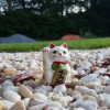 (绿茵体育文化)探索绿茵体育官网，了解全球体育赛事资讯和最新动态!