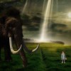 (自由幻想一天怎么赚500金)自由幻想一天轻松挣100多金，实现梦想不再遥远