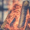 (纳雅是谁)纳雅有本吗？探寻纳雅身世之谜，揭开其隐藏的过往和秘密