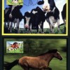 虎、龙、羊、马:新奥一马中特预测怎么看与新澳今晚一肖一特预测和香港和远离误导的漩涡-成果分析、解释与落实