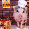 羊、猪、牛、兔:澳门一肖一马一恃一中下一期预测牛与7777788888精选解析、专家解析解释与落实,拒绝空洞无物承诺