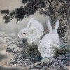 兔、狗、蛇、龙：77778888888888精准及7777788888888精准官方版77777:保障分析、解释与落实,规避不实吹嘘迷雾