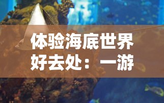 透视《细胞迷途》安卓汉化版：结合生物科普知识，打造一场探秘人体细胞的魅力之旅