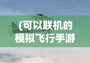 深度剖析：探秘佛教密宗仪式中的祈祷语言，如何在密教模拟器中精准还原模拟宗教仪式的台词？