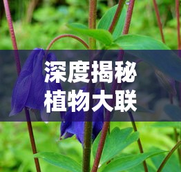 重磅消息：备受期待的《从前有座灵剑山》手游确定上线时间，玩家们翘首以待