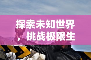 深度揭秘：坚持到底手游成就一览表，一站式全面解析游戏进阶技巧与奖励系统