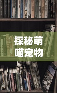 (梦想新大陆手游能赚钱吗)梦想新大陆手游倒闭了吗？玩家们忧心忡忡，产业未来存疑