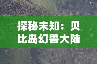 (海战题材游戏)探寻往日辉煌：发现一款非常古老的海战游戏