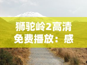 挖掘英雄潜力：将灵揭示绝地求生中最值得玩家培养及投入的角色