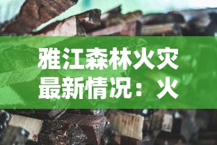 雅江森林火灾最新情况：火势得到有效控制，无人员伤亡，森林恢复工作正在积极进行中