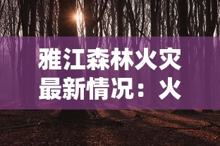 雅江森林火灾最新情况：火势得到有效控制，无人员伤亡，森林恢复工作正在积极进行中