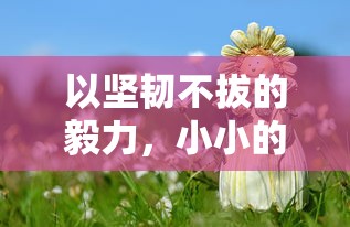 深度解析：借助合成与强化机制，掌握龙谷奇兵打造圣物的实战技巧与策略