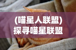 深度解析：热门网络游戏圣剑神域0.05每次攻击必爆苹果如何彻底改变刀刀爆的游戏模式