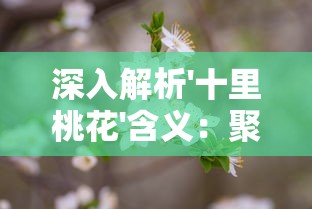 (王国保卫战维鲁克的故事)王国保卫战4维鲁克游戏评测及玩家反馈