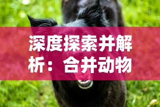 新鲜出炉！全方位解析'闯出去吧'手游攻略，助你快速掌握胜利秘籍