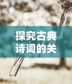 深度解析：魔龙之戒最强组合大揭秘，专业玩家分享决胜战场秘诀