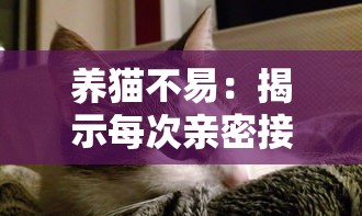 养猫不易：揭示每次亲密接触猫咪都可能带来致命风险的不为人知的真相