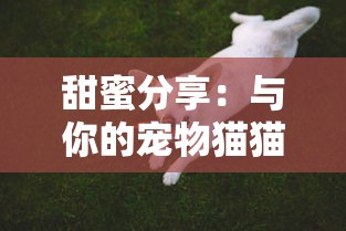 甜蜜分享：与你的宠物猫猫狗狗一同欢享冰淇淋的美好时光，尽享纯净免广告的冷饮体验