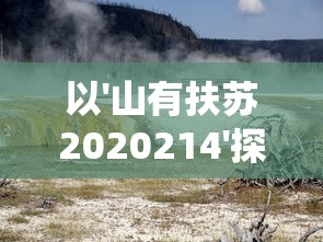 以'山有扶苏2020214'探讨的环保意识与自然保育行动：从生态系统视角来看我们的责任和挑战