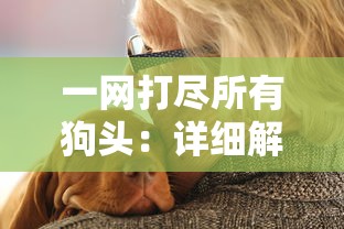 一网打尽所有狗头：详细解读《狗头大作战》中各种狗头的形象及意义