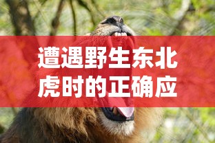 遭遇野生东北虎时的正确应对策略：保护生命和规避危险的实用指南