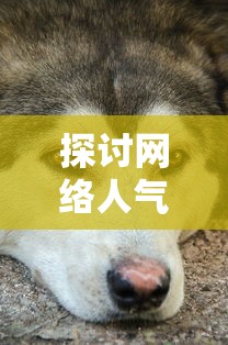 详解网页游戏魔龙之戒攻略：角色选择与装备升级全方位细节揭秘