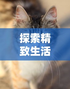 探索精致生活，萌宠需要养游戏：如何合理安排宠物游戏时间为其创造全方位健康环境