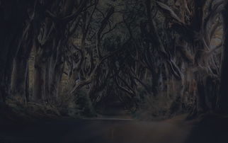 (利维坦合集)探寻《利维坦》剧情中的复杂人性和权力游戏 (利维坦合集)探寻《利维坦》剧情中的复杂人性和权力游戏