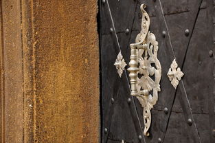 (魔么咒礼包码)魔么咒怎么无限刷玉？学会这些技巧轻松获取宝贵资源！