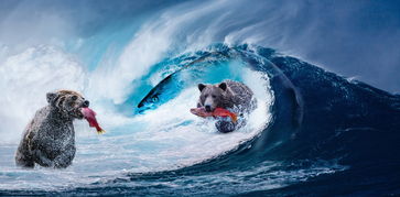 (电脑桌面鱼的动态壁纸图片)精美电脑桌面壁纸大全合集:绚丽鱼群、清新水下风景一应俱全 (电脑桌面鱼的动态壁纸图片)精美电脑桌面壁纸大全合集:绚丽鱼群、清新水下风景一应俱全